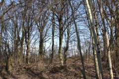 2019-02-23 Annosław - cm. z I wojny światowej (61)