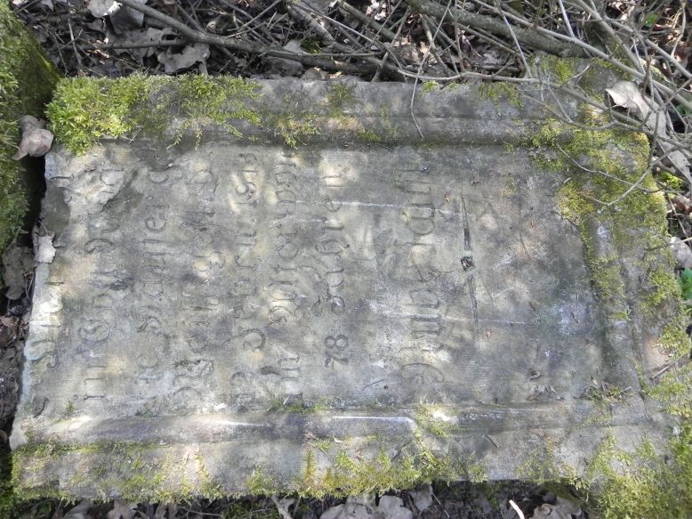 2018-04-08 Brzozów - cm. z I wojny światowej(44)