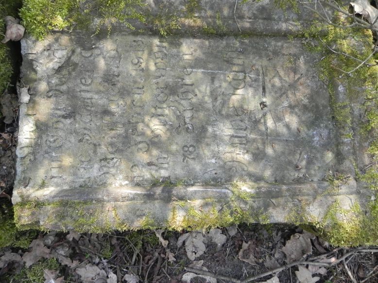 2018-04-08 Brzozów - cm. z I wojny światowej(45)