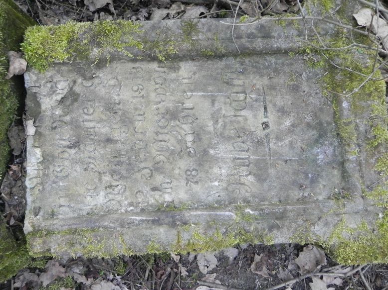 2018-04-08 Brzozów - cm. z I wojny światowej(46)