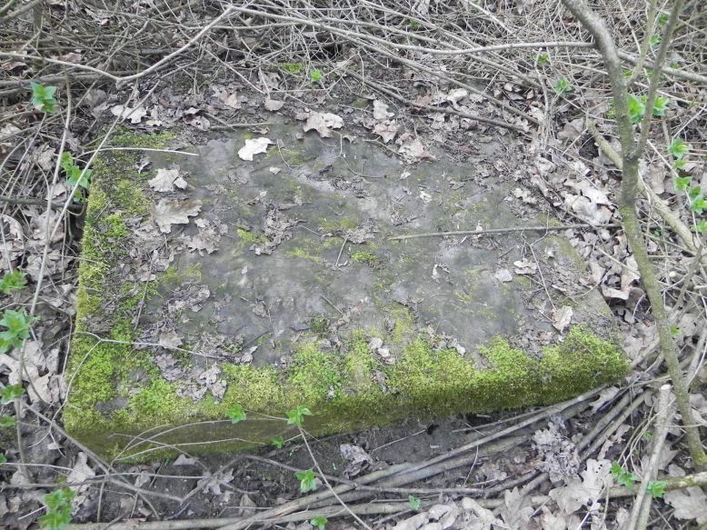 2018-04-08 Brzozów - cm. z I wojny światowej(49)