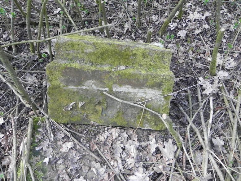 2018-04-08 Brzozów - cm. z I wojny światowej(50)