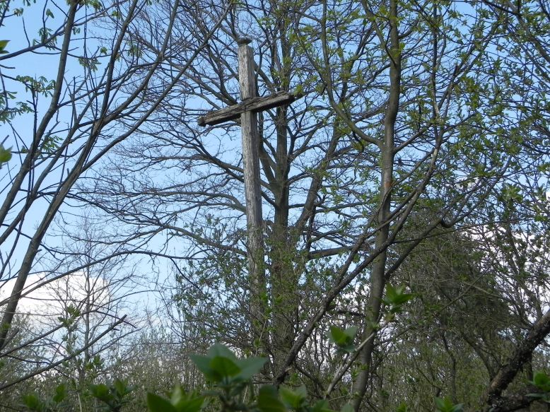 2018-04-08 Brzozów - cm. z I wojny światowej(51)