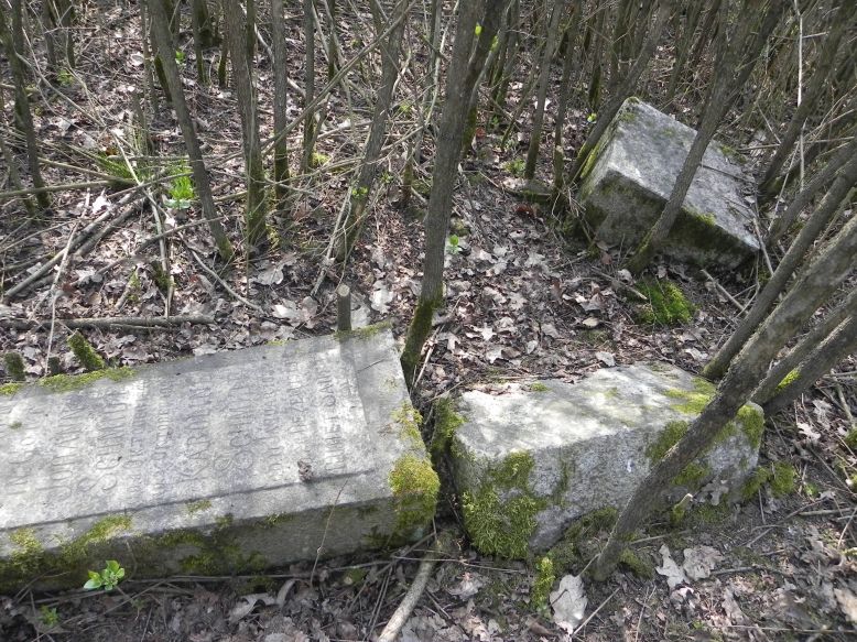 2018-04-08 Brzozów - cm. z I wojny światowej(52)