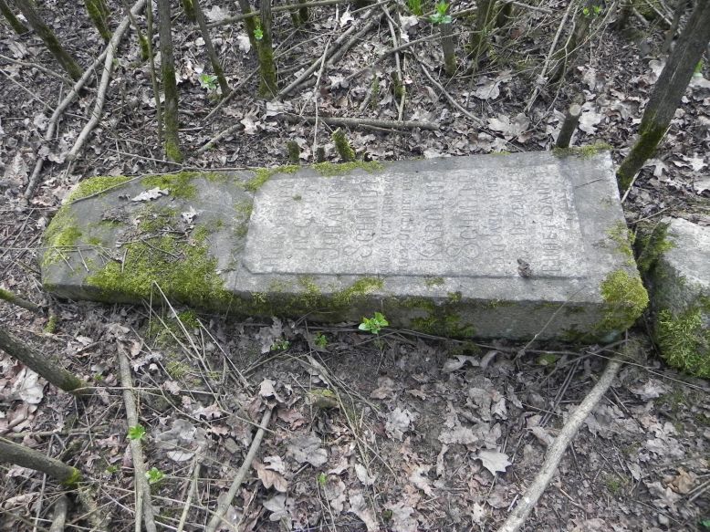 2018-04-08 Brzozów - cm. z I wojny światowej(53)