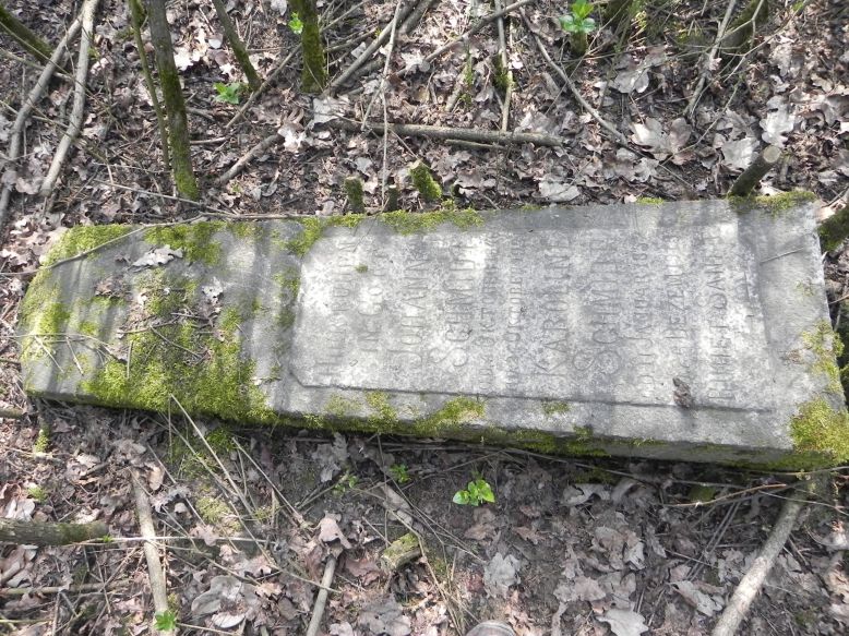 2018-04-08 Brzozów - cm. z I wojny światowej(56)