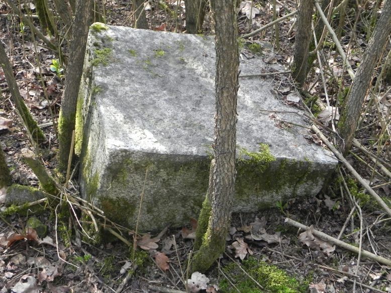 2018-04-08 Brzozów - cm. z I wojny światowej(57)