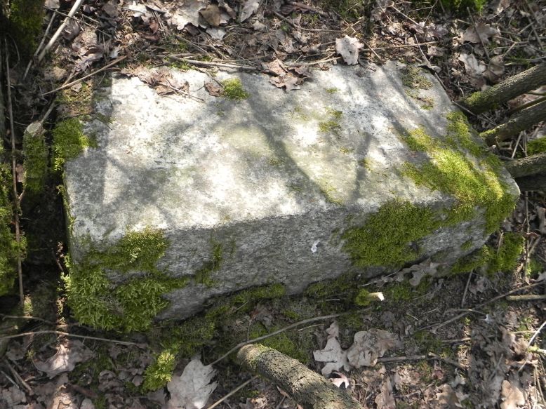 2018-04-08 Brzozów - cm. z I wojny światowej(58)