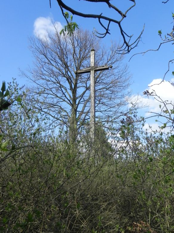 2018-04-08 Brzozów - cm. z I wojny światowej(59)