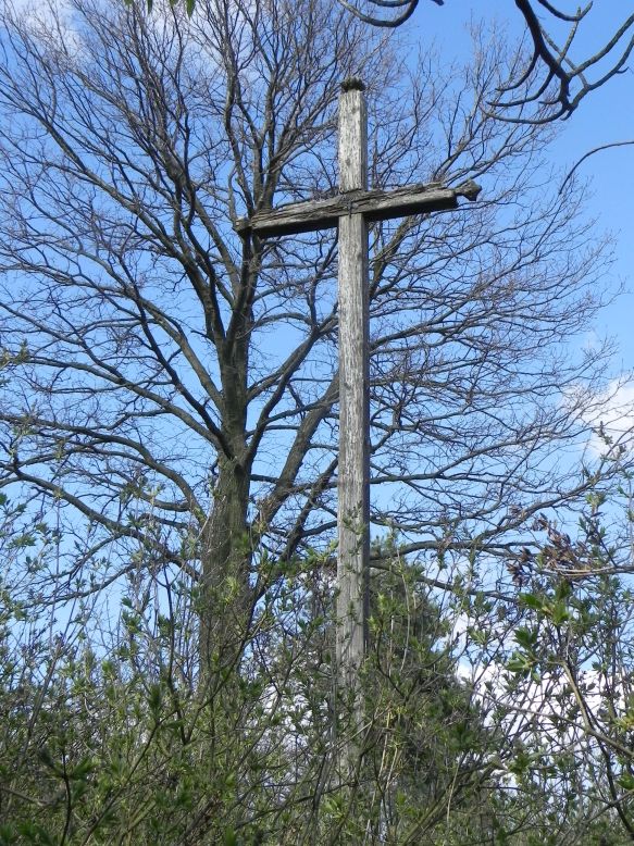 2018-04-08 Brzozów - cm. z I wojny światowej(60)