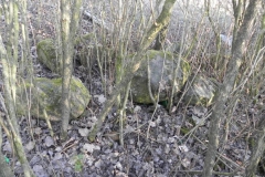 2018-04-08 Brzozów - cm. z I wojny światowej(25)