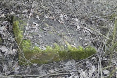 2018-04-08 Brzozów - cm. z I wojny światowej(27)