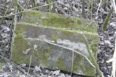 2018-04-08 Brzozów - cm. z I wojny światowej(28)