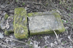 2018-04-08 Brzozów - cm. z I wojny światowej(43)