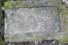 2018-04-08 Brzozów - cm. z I wojny światowej(46)