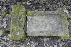 2018-04-08 Brzozów - cm. z I wojny światowej(47)