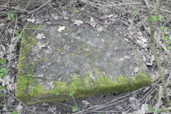 2018-04-08 Brzozów - cm. z I wojny światowej(49)