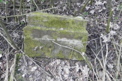 2018-04-08 Brzozów - cm. z I wojny światowej(50)