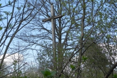 2018-04-08 Brzozów - cm. z I wojny światowej(51)