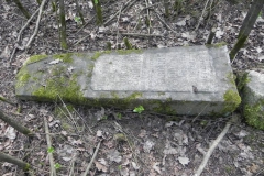 2018-04-08 Brzozów - cm. z I wojny światowej(53)