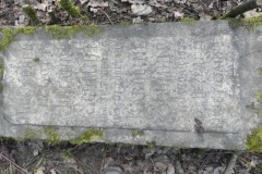 2018-04-08 Brzozów - cm. z I wojny światowej(55)