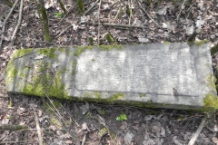 2018-04-08 Brzozów - cm. z I wojny światowej(56)