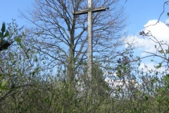 2018-04-08 Brzozów - cm. z I wojny światowej(59)