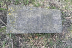 2018-04-08 Brzozów - cm. z I wojny światowej(64)