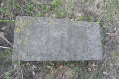 2018-04-08 Brzozów - cm. z I wojny światowej(66)