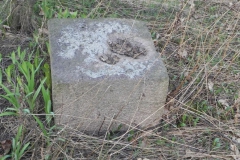 2018-04-08 Brzozów - cm. z I wojny światowej(67)