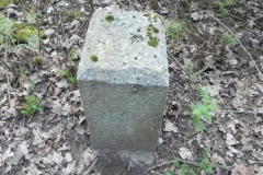 2018-04-08 Brzozów - cm. z I wojny światowej(70)