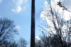 2018-04-08 Brzozów - cm. z I wojny światowej(72)