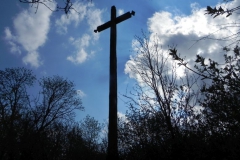 2018-04-08 Brzozów - cm. z I wojny światowej(73)