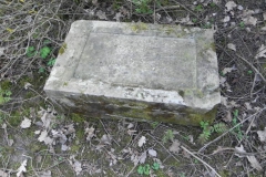 2018-04-08 Brzozów - cm. z I wojny światowej(74)