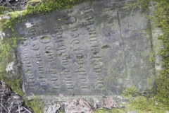 2018-04-08 Brzozów - cm. z I wojny światowej(77)