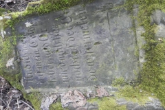 2018-04-08 Brzozów - cm. z I wojny światowej(78)