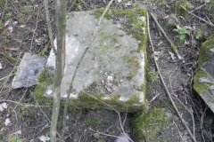 2018-04-08 Brzozów - cm. z I wojny światowej(80)