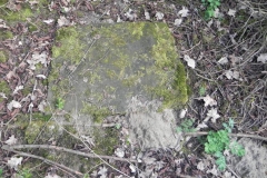 2018-04-08 Brzozów - cm. z I wojny światowej(81)