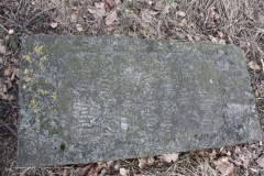 2019-02-28 Brzozów - cm ewang i z I wojny światowej (1)