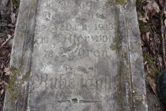 2019-02-28 Brzozów - cm ewang i z I wojny światowej (13)