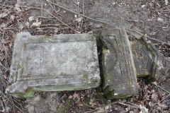 2019-02-28 Brzozów - cm ewang i z I wojny światowej (16)