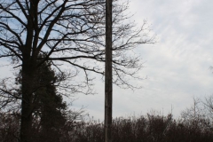 2019-02-28 Brzozów - cm ewang i z I wojny światowej (19)