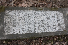 2019-02-28 Brzozów - cm ewang i z I wojny światowej (8)