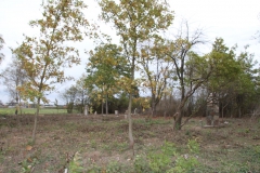 2019-10-27 Brzozów - cm ewang i z I wojny światowej (1)