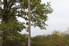 2019-10-27 Brzozów - cm ewang i z I wojny światowej (22)