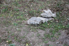 2019-10-27 Brzozów - cm ewang i z I wojny światowej (5)