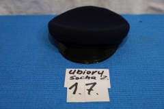 Socha 17a Zdzisław - czapka maciejówka