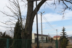 2019-02-24 Lubocz krzyż nr1 (4)