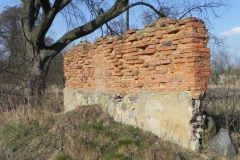 2018-04-08 Brzozówka - mur i piwnice (11)