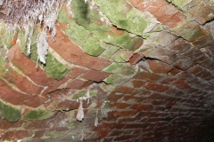 2018-04-08 Brzozówka - mur i piwnice (21)